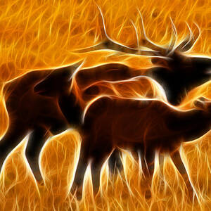 Standing In The Flames by Shane Bechler
