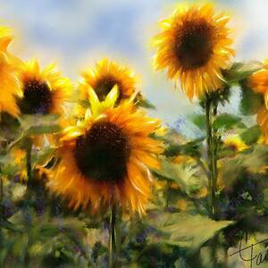 Sunny-Side Up by Colleen Taylor