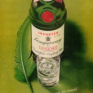 Tanqueray Gin by Georgia Clare