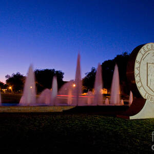 Texas Tech University Seal and Blue Sky by Mae Wertz