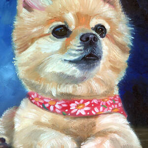 Adoration - Pomeranian Painting by Lyn Cook
