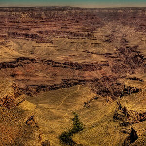 The Grand Canyon X Photograph by David Patterson - Fine Art America