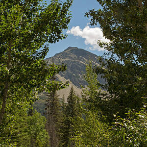 The Path to Running Eagle Falls by Natural Focal Point Photography