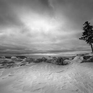 The Point by Jakub Sisak