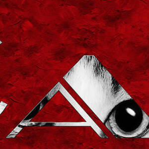 The Word Is Cat BW On Red by Andee Design