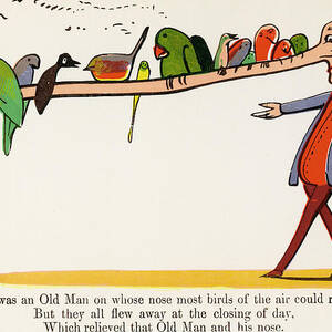 'there Was An Old Man On Whose  Nose by Mary Evans Picture Library