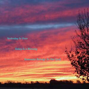 Today Is Best by David  Norman