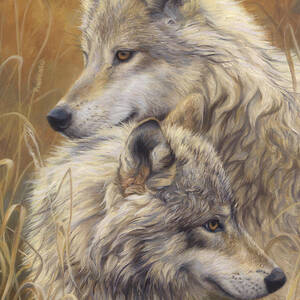 Together by Lucie Bilodeau