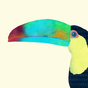 Toucan by Eric Fan