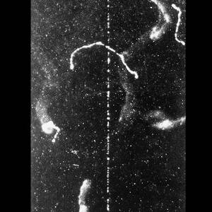 Track Of Fast Beta Ray In Cloud Chamber by Science Photo Library