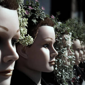 Transplants by Micki Findlay