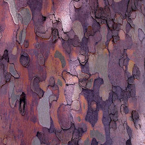 Tree Abstract by Rona Black
