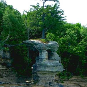 Tree Atop Chapel Rock by Keith Stokes