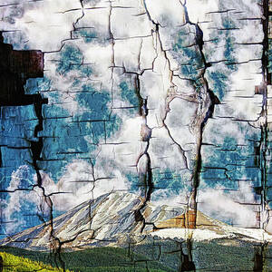 Tree Bark Mountain Tapestry by Lincoln Rogers
