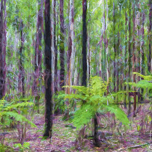 Tree ferns by Sheila Smart Fine Art Photography