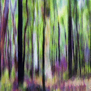 Trees abstract by Sheila Smart Fine Art Photography