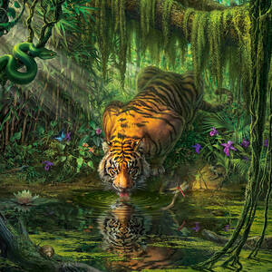  Aurora's Garden by Mark Fredrickson