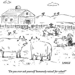 Two Cows On A Farm Talking by David Sipress