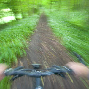 View From Bicycle Along Wooded Track by Peter Adams