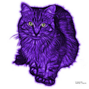 Violet Feral Cat - 9905 FS by James Ahn