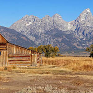 Weathered to Perfection by Leda Robertson