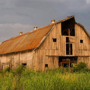 What Happened To The American Dream by Flees Photos
