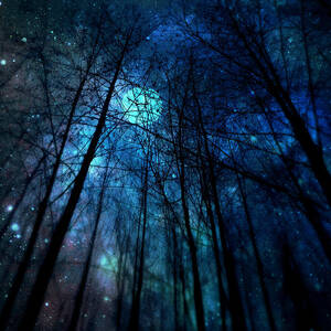 Where the Faeries Meet by Micki Findlay
