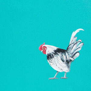 Black and white rooster, Who Me by Jan Matson
