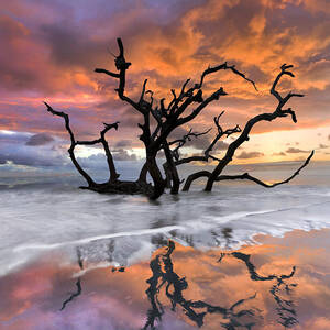 Wildfire by Debra and Dave Vanderlaan