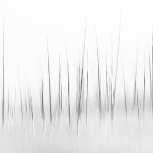 Wintry Scenery In Yellowstone by Charles Lai