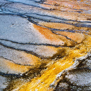 Yellowstone nature abstract by Delphimages Photo Creations