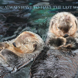 You always have to have the last word w/title by Aleksander Rotner