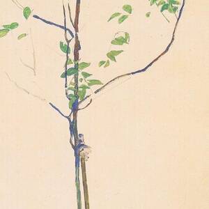 Young Trees with Support by Celestial Images