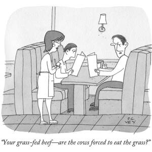 Your Grass-fed Beef - Are The Cows Forced To Eat by Peter C. Vey