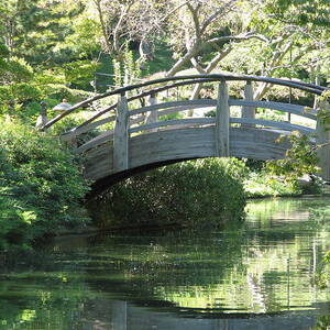 Japanese Gardens Bridge in Fort Worth Texas Photograph by Shawn Hughes ...