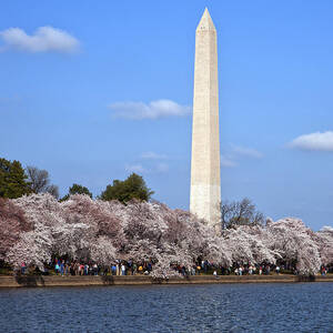 Washington Monument from the Tidal Basin DS054 #1 by Gerry Gantt