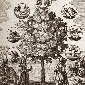 Alchemical tree History Home Decor Philosophia reformata Canvas Wall Art Print 