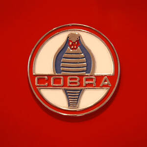 COBRA Emblem by Mike McGlothlen