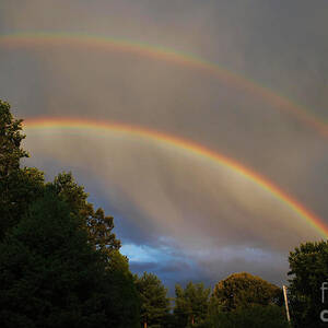 Double Rainbow by Science Source