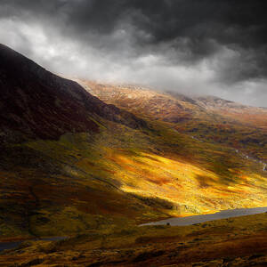 Eden by Ian David Soar