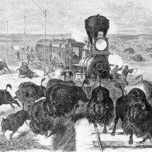 Hunters Shooting At A Herd Of Bison by Everett