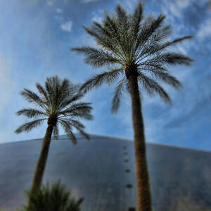 Las Vegas Style by Douglas Barnard