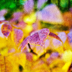 The Warmth of Autumn Glow Abstract by Andee Design