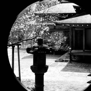 Through the Window of Time by Sebastian Musial