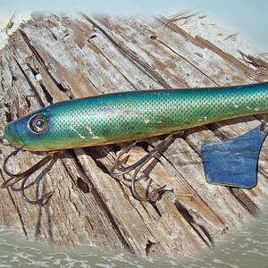 AJS Green Swimmer Flaptail Saltwater Lure Photograph by Carol