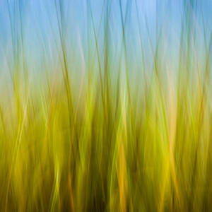 Abstract Fall 8 #1 by Joye Ardyn Durham