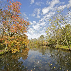 Autumn Colors on the Delaware and Raritan Canal #1 by David Letts