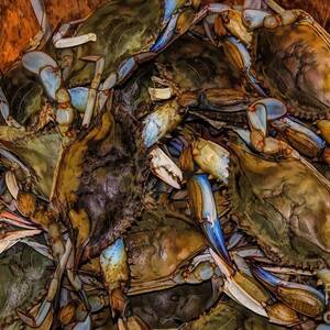 Crazy For Blue Crabs On The Water, 56% OFF