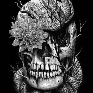 Snake and Skull #1 by Nicebleed 