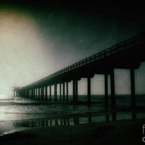 Spotlight On Scripps #1 by Ken Johnson